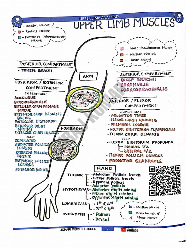 Book | PDF | Arm | Hand