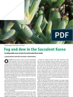 Fog and Dew in the Succulent Karoo v96 Sept 2010
