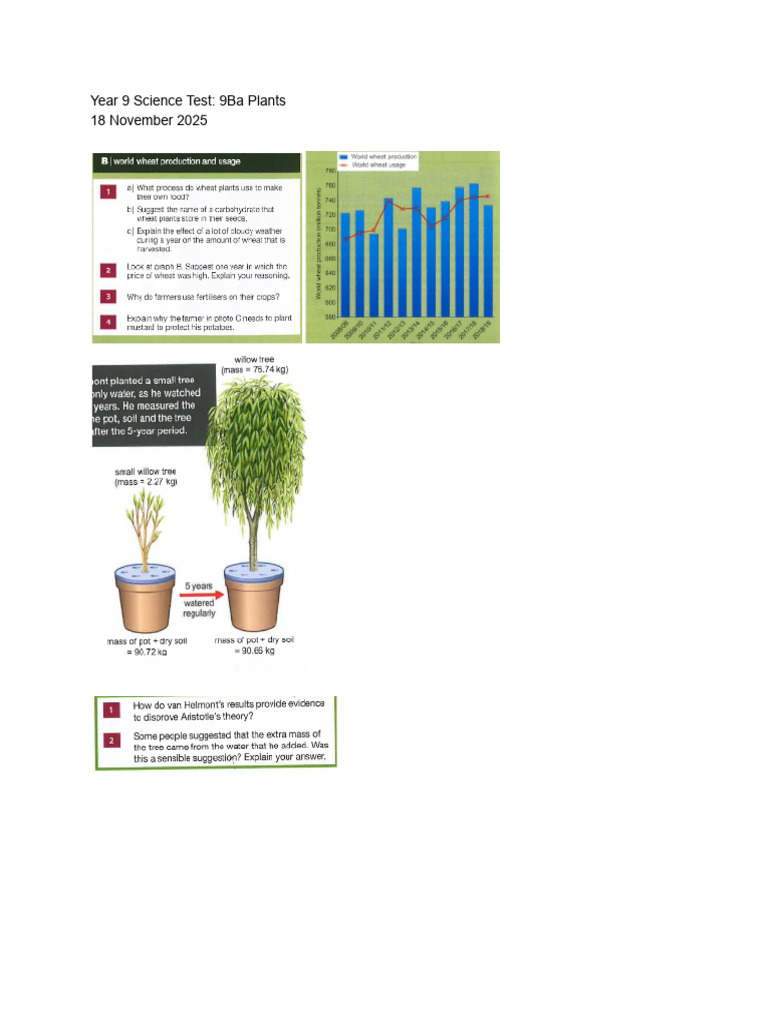 Year 9 Science Test - 9ba Plants | PDF