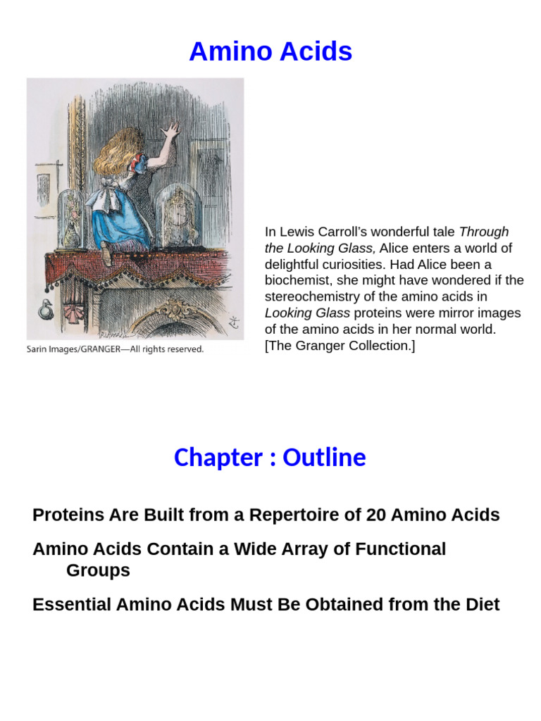 Understanding Amino Acids and Proteins | PDF | Protein Structure | Beta ...