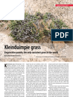 Kleinduimpie Grass v95 March 2009
