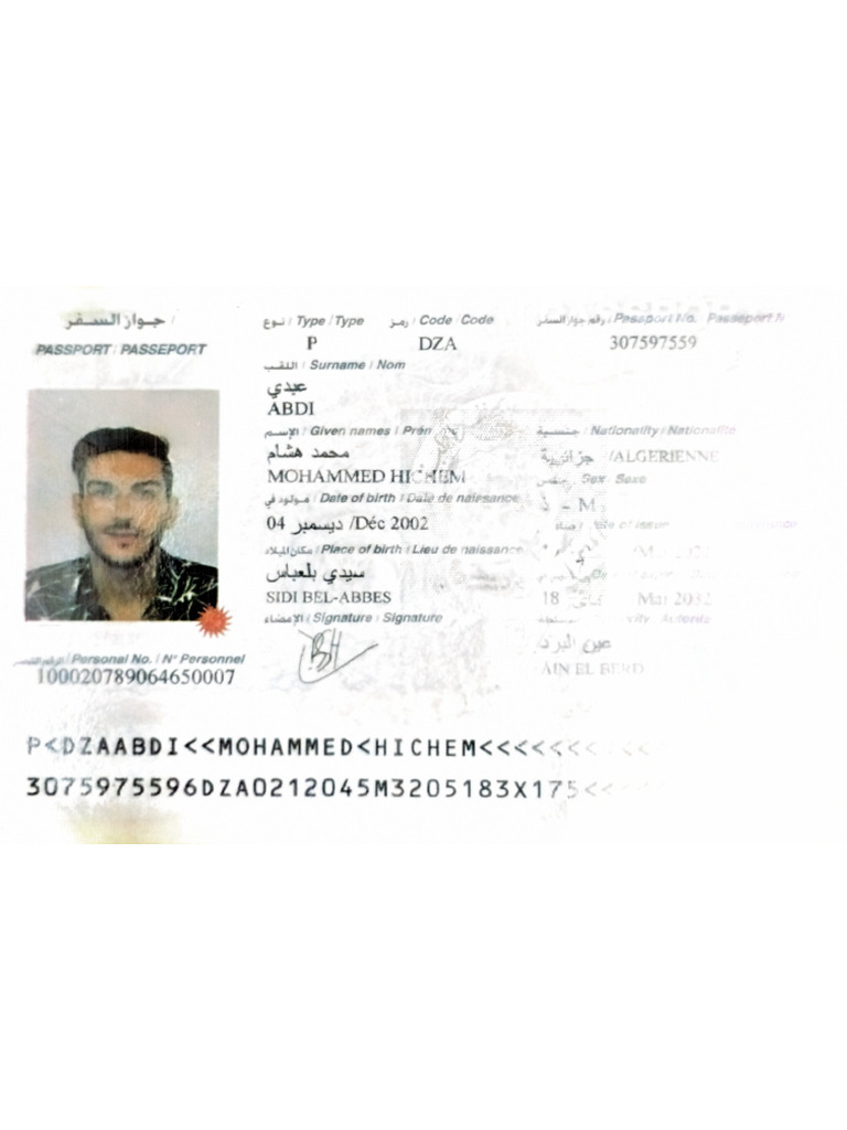Passport - Details 17 11 2025 20 52 | PDF