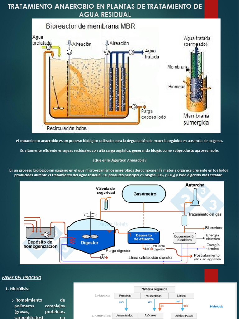 Tratamiento Anaerobio | PDF | Aguas residuales | Tratamiento de aguas