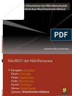 Evaluasi Keragaan Pertumbuhan Dan Nilai Heterosis Pada Persilangan