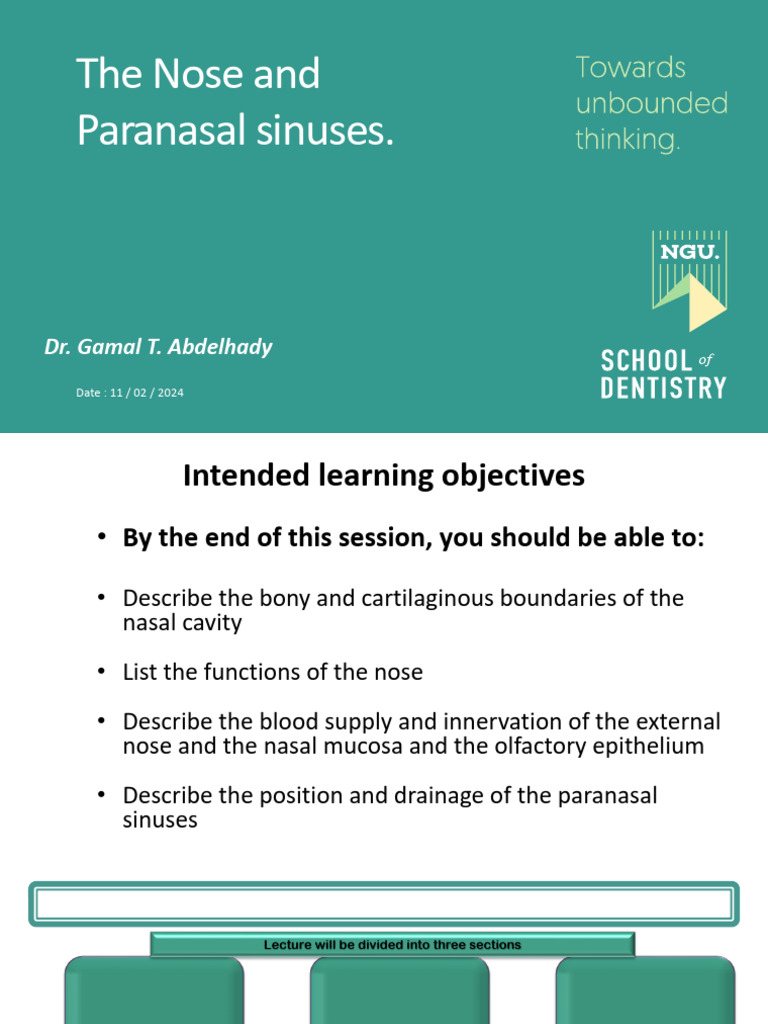 Anatomy of the Nose and Sinuses | PDF | Human Nose | Primate Anatomy