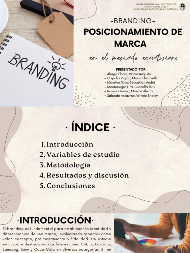 SEMANA 07 - LECTURA N°3 - Branding Posicionamiento de Marca | PDF ...