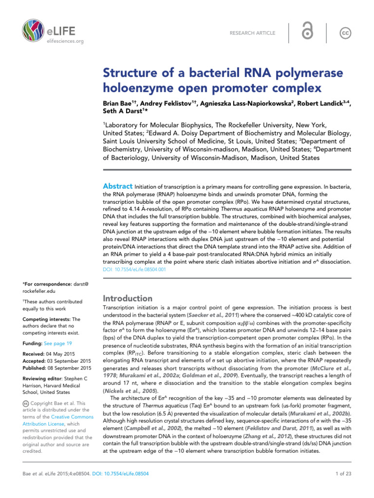 Structure of A Bacterial RNA Polymerase Holoenzyme Open Promoter ...