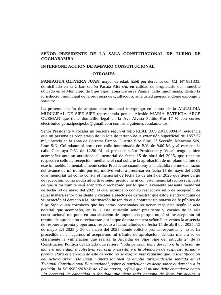 Amparo Constitucional | PDF | Caso de ley | Justicia