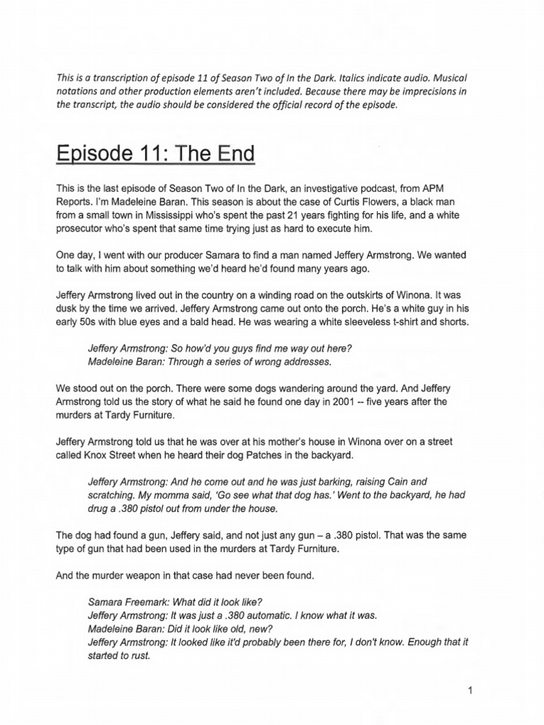 In The Dark Transcript Season 2 Episode 11 The End Text | PDF