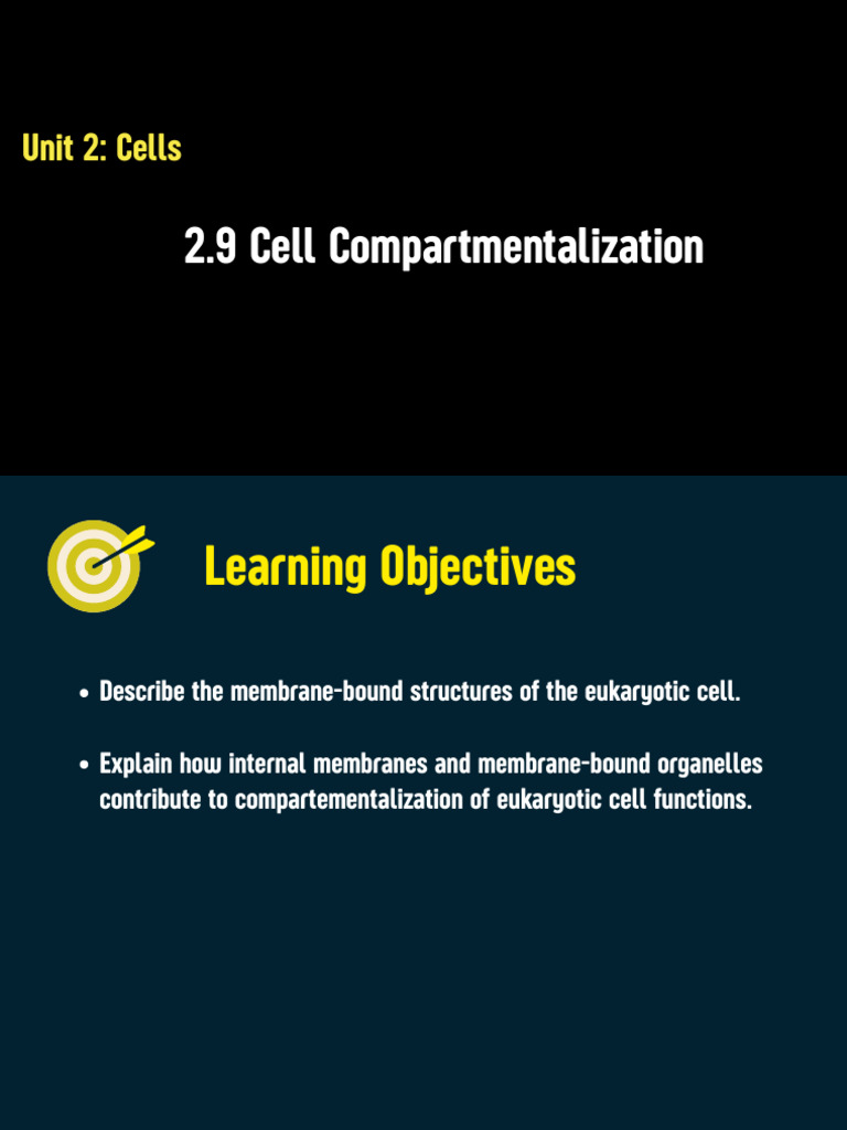 Eukaryotic Cell Compartmentalization | PDF