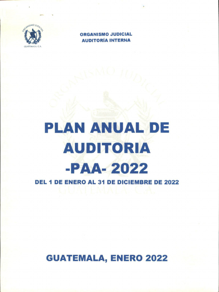 Plan Anual de Auditoria Interna - Paa - 2022 | PDF | Auditoría ...