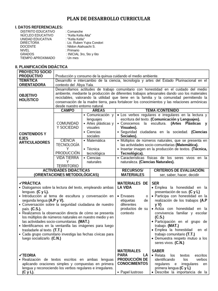 Plan de Desarrollo Curricular Primario | PDF