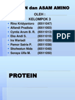 Protein