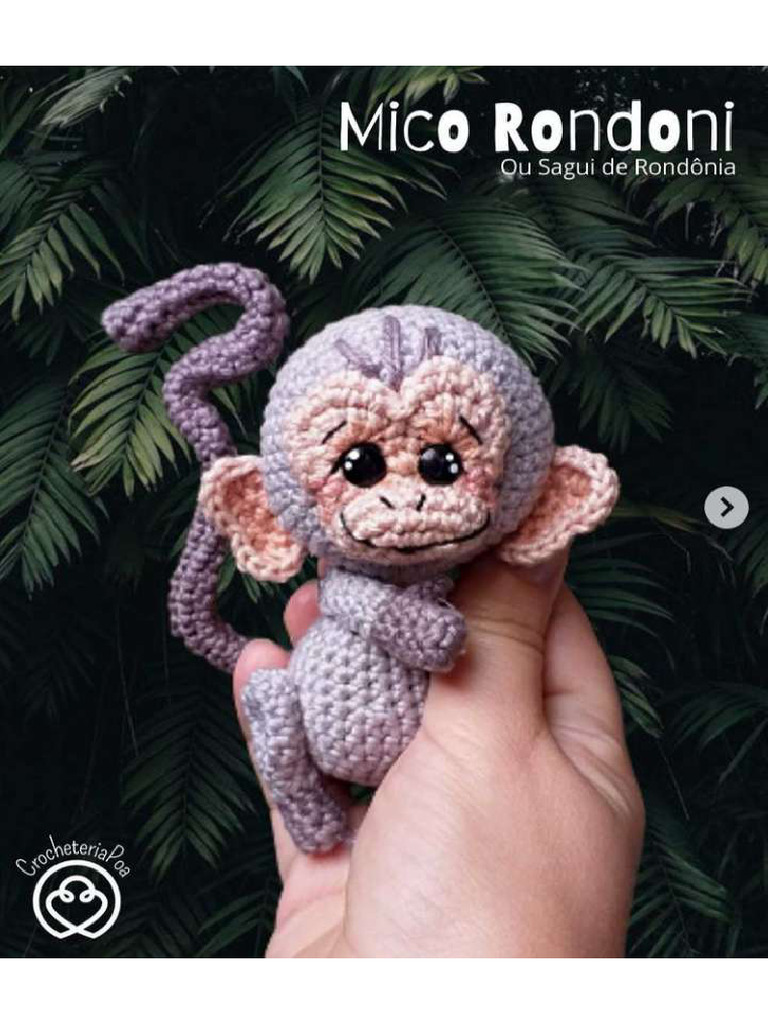 Monkey | PDF