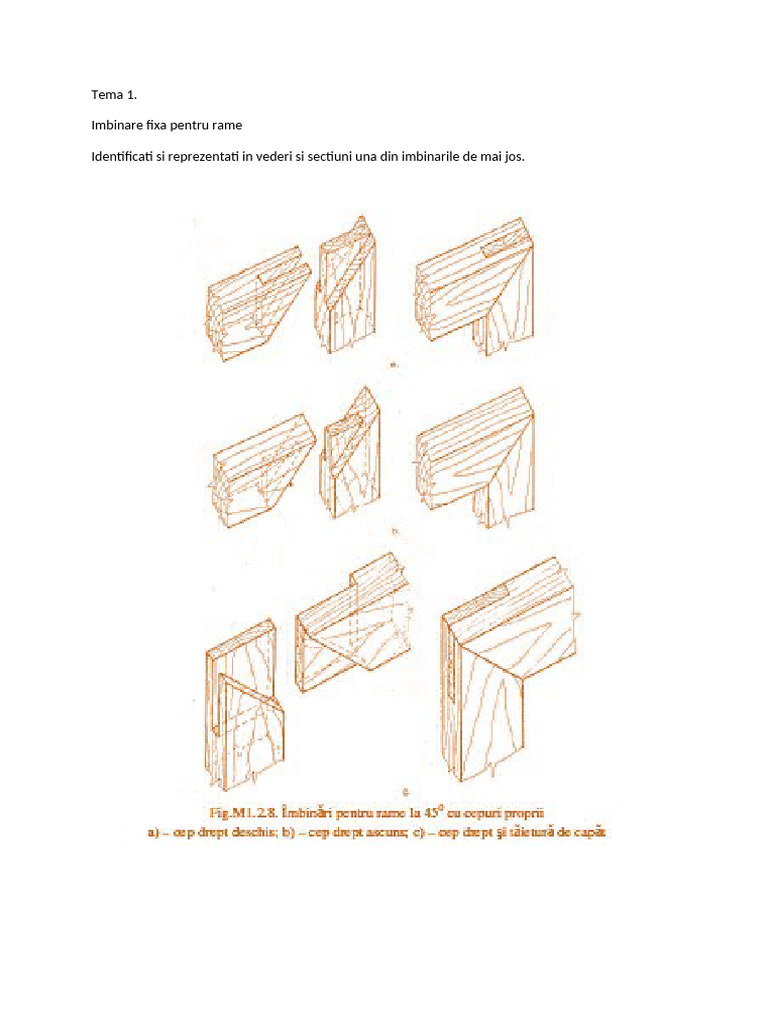 Tema 1 | PDF