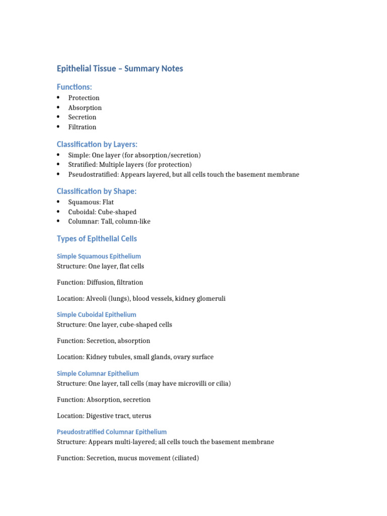 Epithelial Tissue Summary | PDF