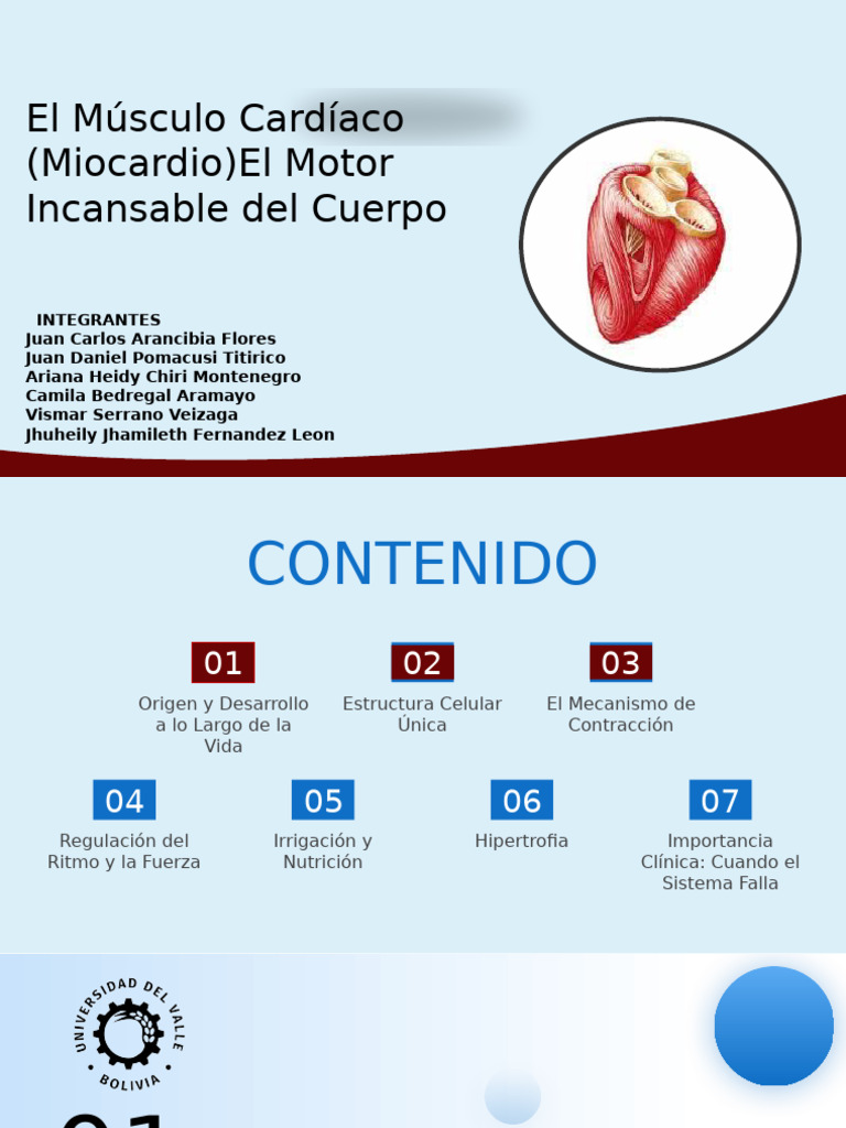 El Músculo Cardíaco (Miocardio) - El Motor Incansable Del Cuerpo | PDF ...