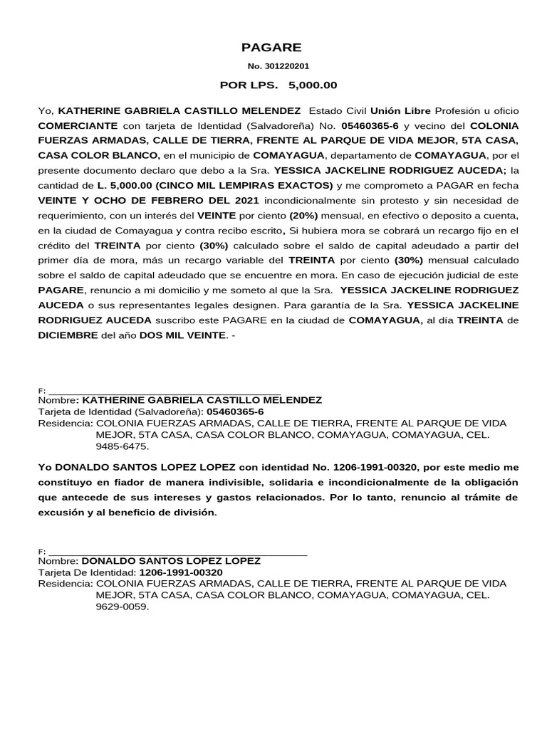 Modelos de Pagare Con Aval Katherine Gabriela Castillo Melendez | PDF