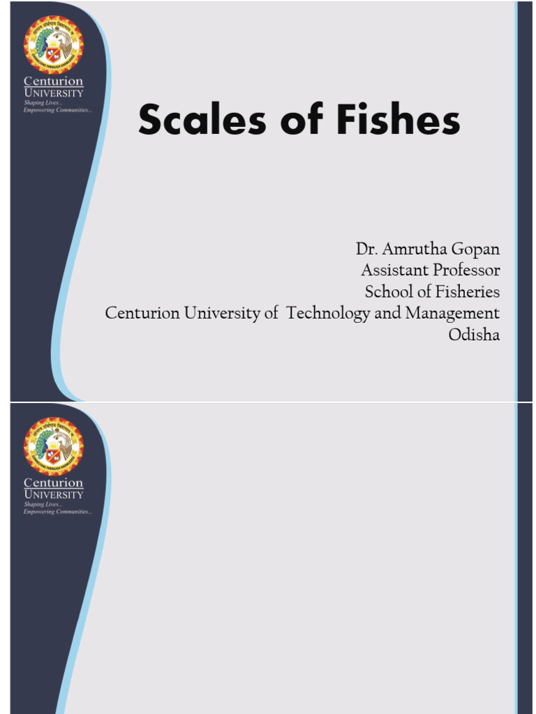 Types and Functions of Fish Scales | PDF | Vertebrates | Fish