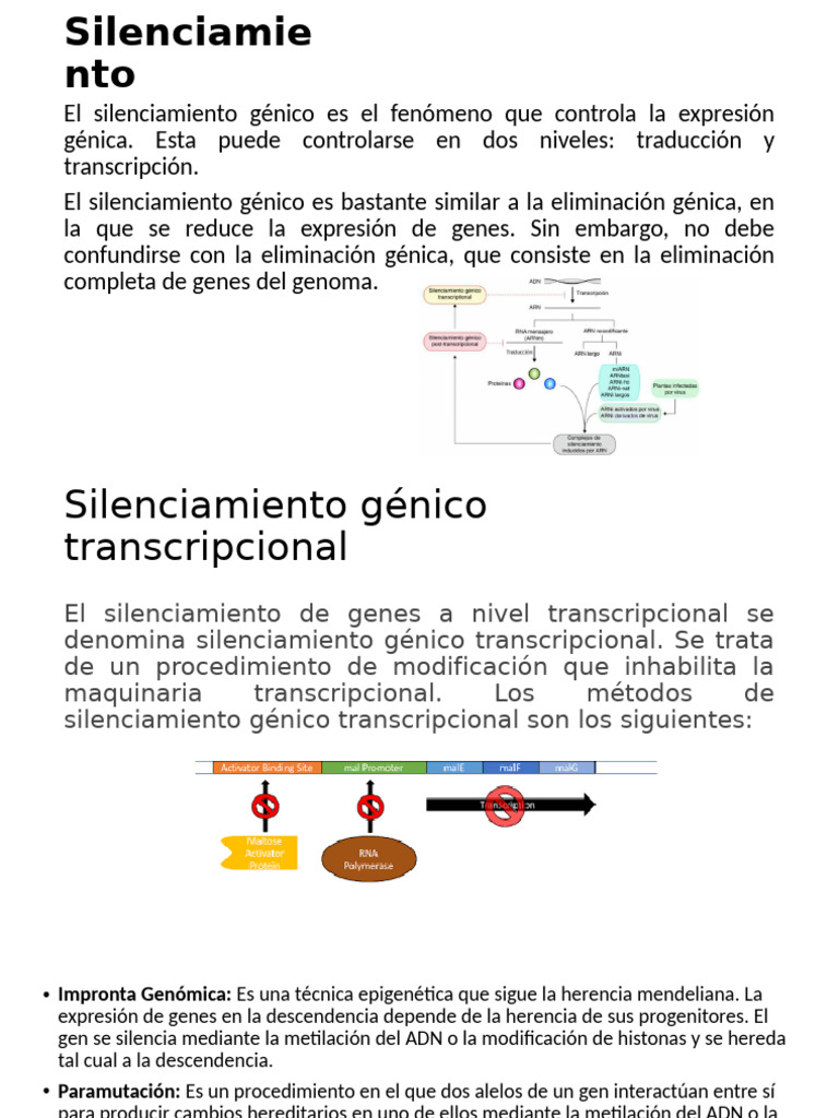 Silenciamiento | PDF | Gene | Silenciamiento génico