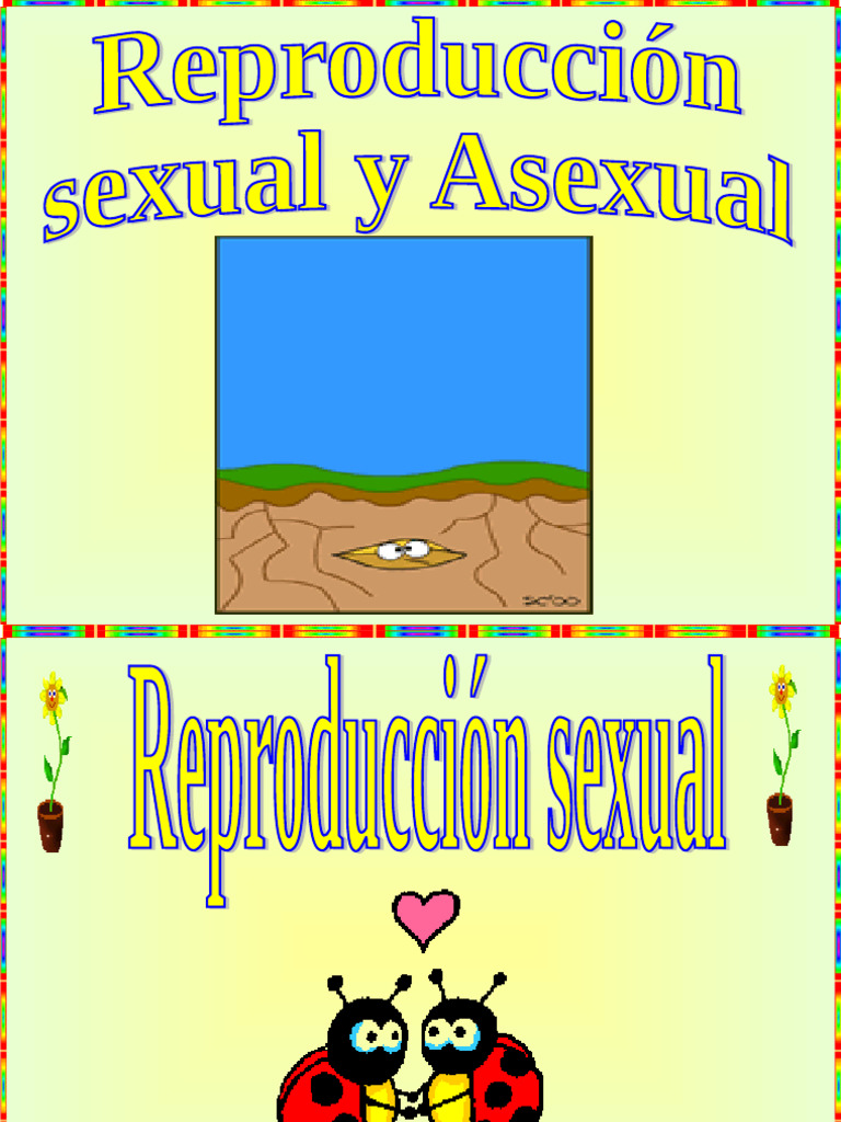 Reproducción Sexual vs Asexual: Definiciones y Tipos | PDF