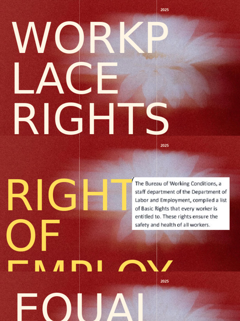 Workplace Rights and Protections 2025 | PDF