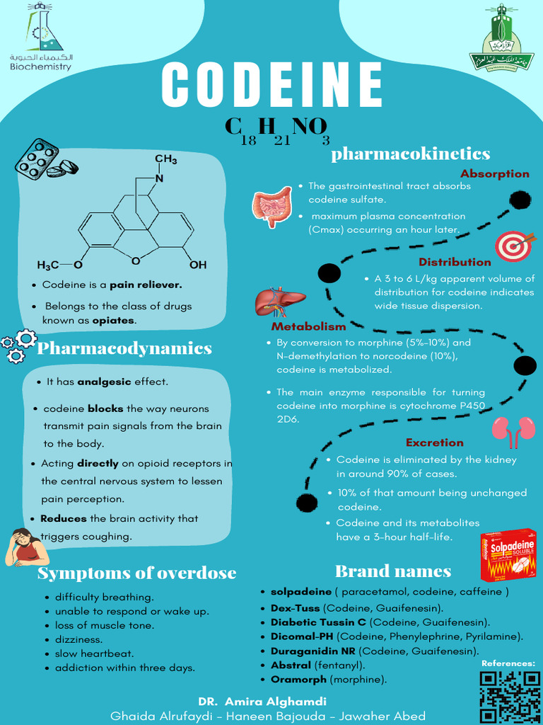 Codeine: Uses, Metabolism, and Effects | PDF | Morphine | Drugs Acting ...