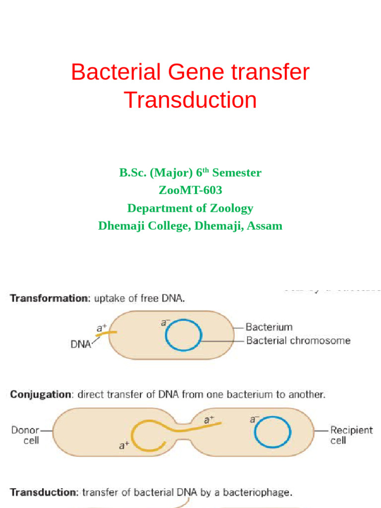 Trnsduction | PDF