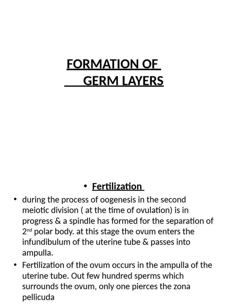 Germ Layer Formation in Embryonic Development | PDF | Embryo ...