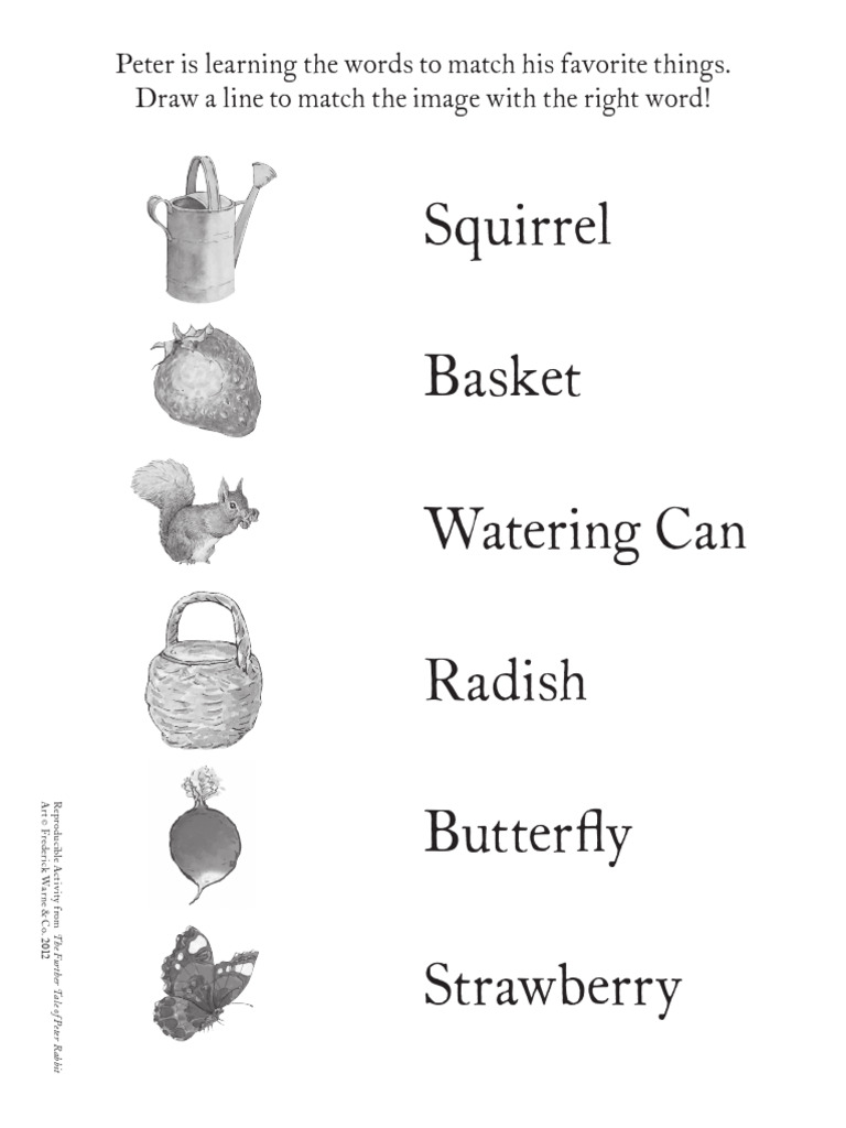 PeterRabbit Matching | PDF