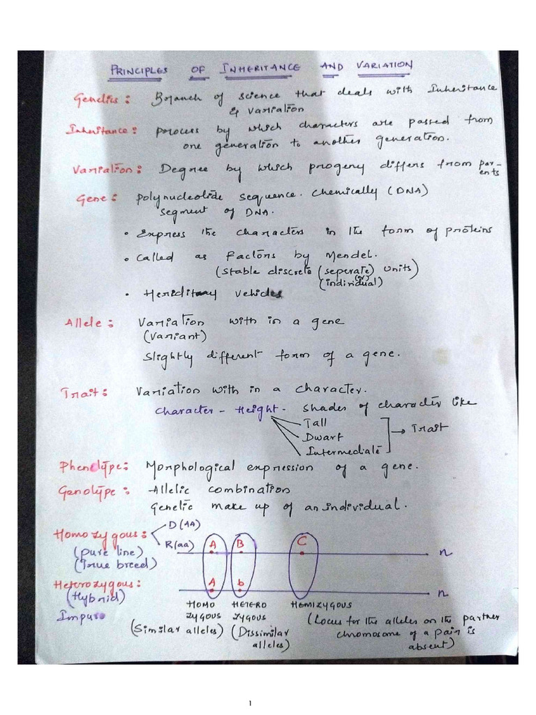 Genetics Handwritten Notes | PDF