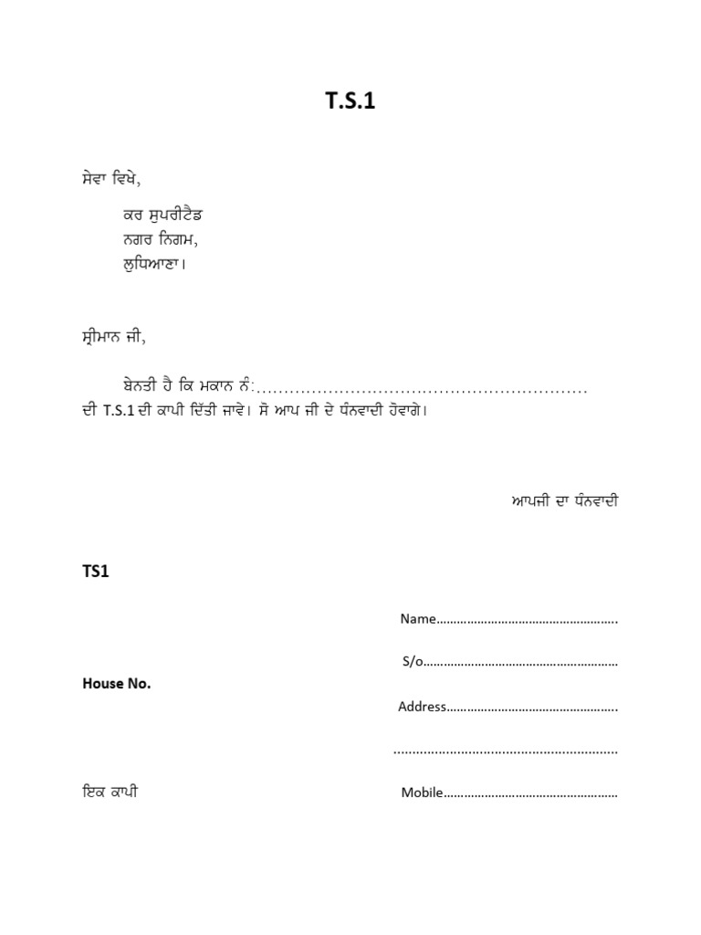 T.S.1 Format | PDF