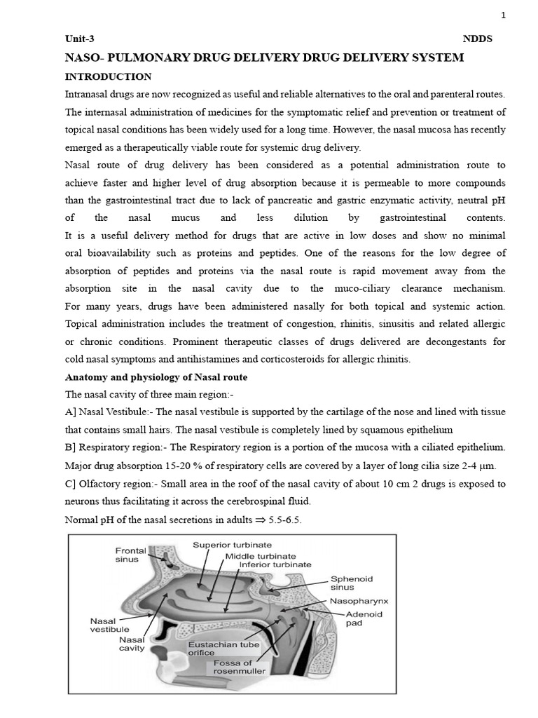 Nasal Drug Delivery Systems Explained | PDF