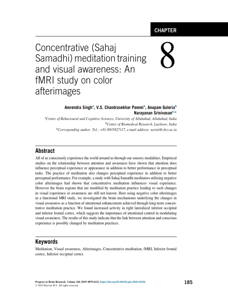 fMRI Study on Meditation and Visual Awareness | PDF | Visual Cortex ...