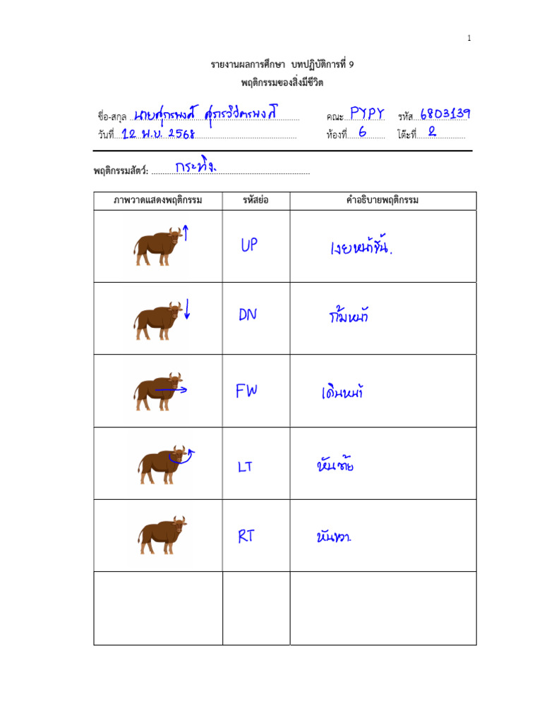 9 Animal Behavior Report | PDF