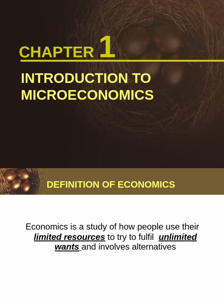 Introduction to Microeconomics Concepts | PDF | Economics | Macroeconomics