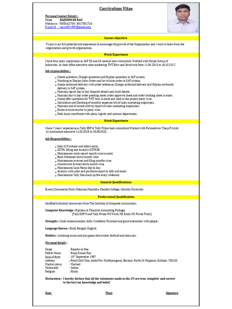 R Rao CV 27.08.2025 | PDF