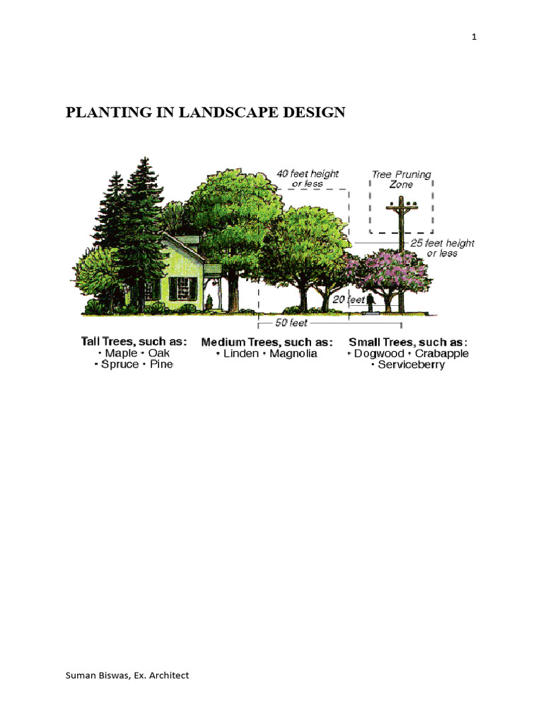 Landscape Design Tree Guide | PDF | Trees | Plants