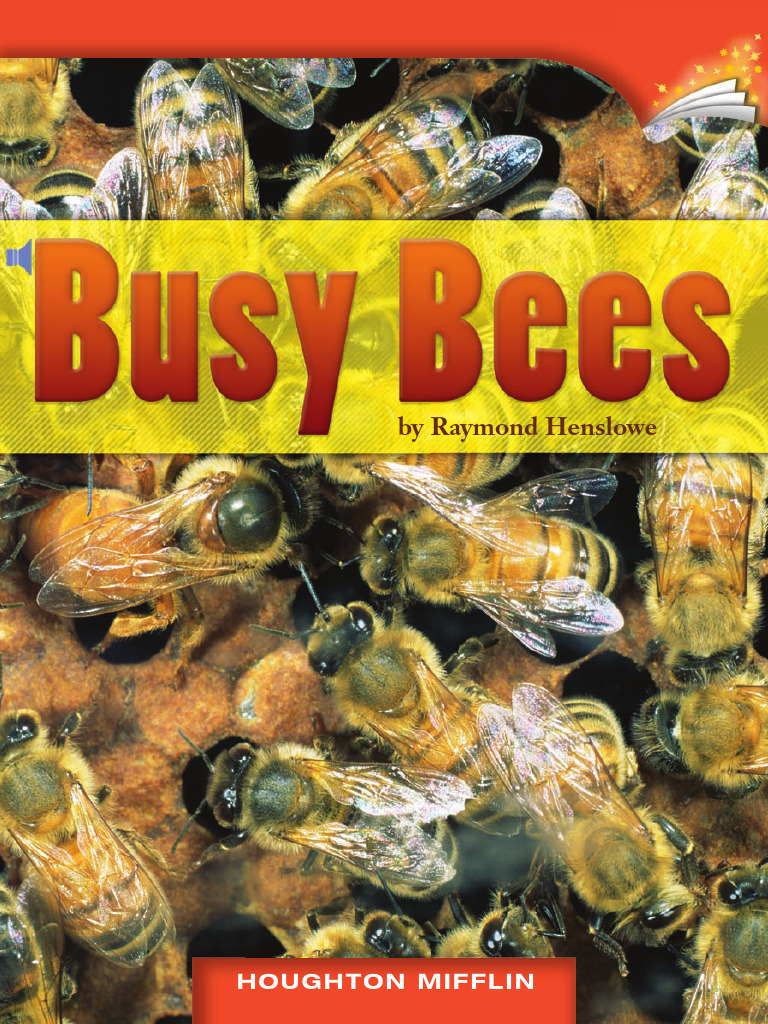 Understanding Bee Types and Hives | PDF | Honey Bee | Insects