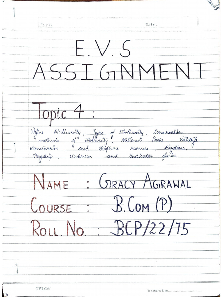 EVS Assignment | PDF