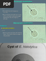 Parasite Ova and Cyst Identification Chart | PDF | Egg