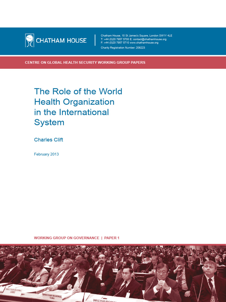 The Role of The World Health Organization in The International System ...