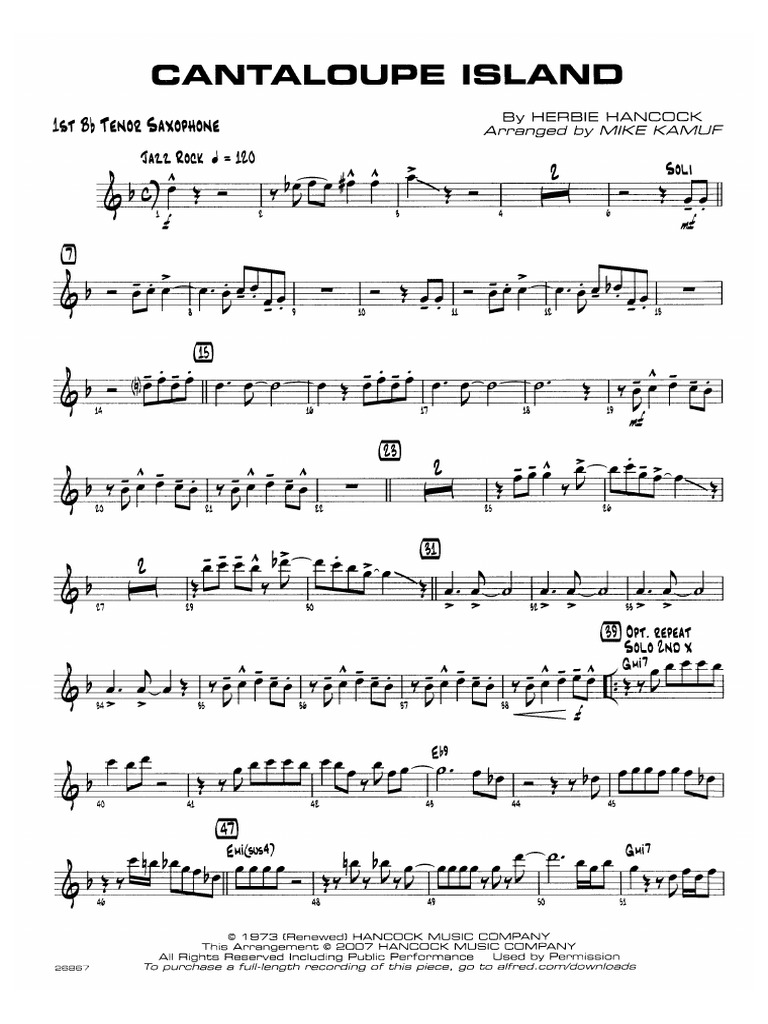 Cantaloupe Ts1 PDF