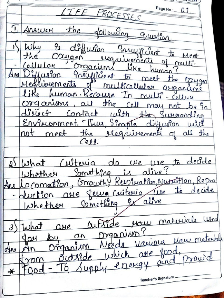 Science Notes Life Process ? | PDF