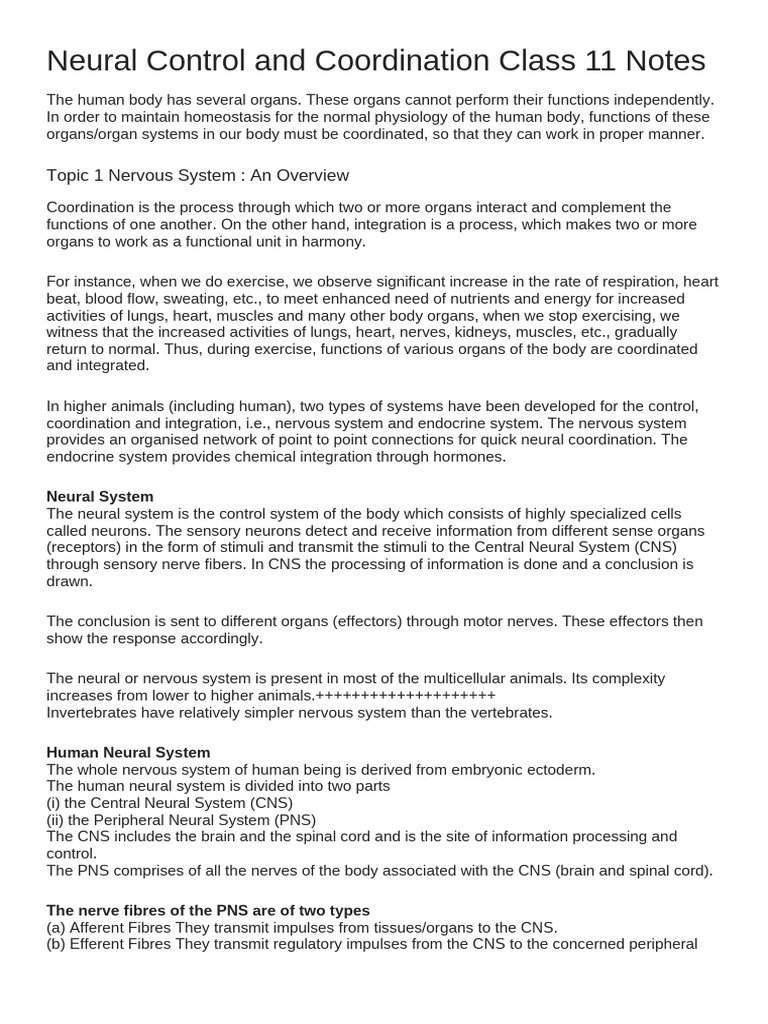 Neural Control and Coordination Notes | PDF | Chemical Synapse | Synapse