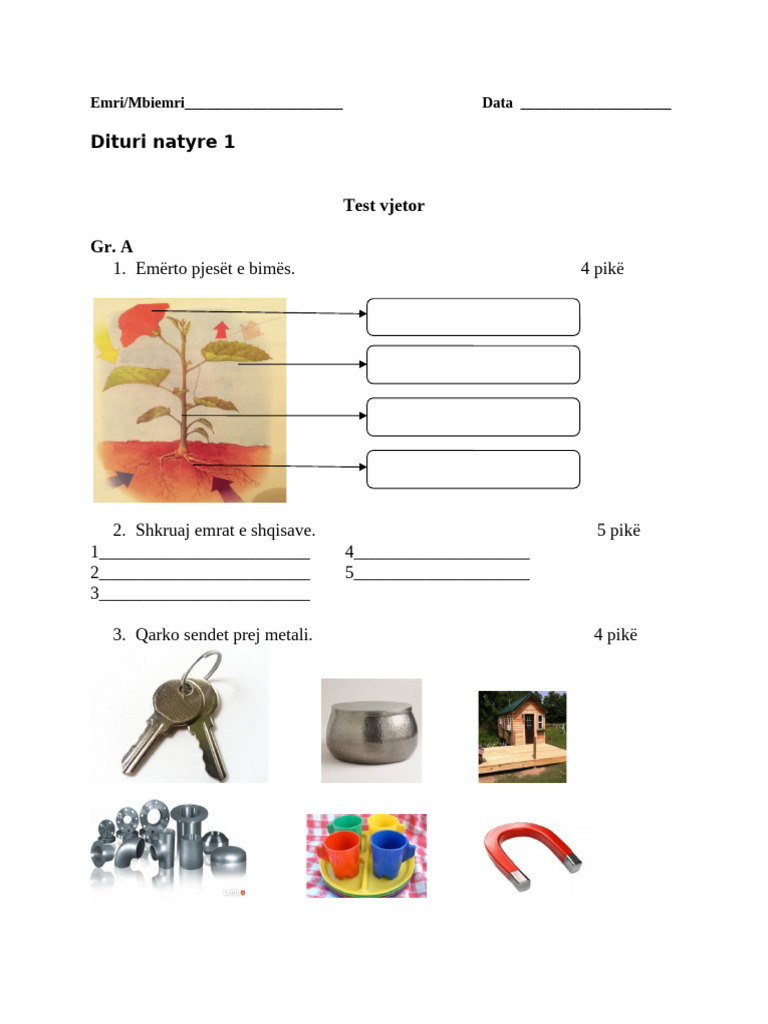 Dituri Natyre 1 - Test 3 (Vjetor) | PDF