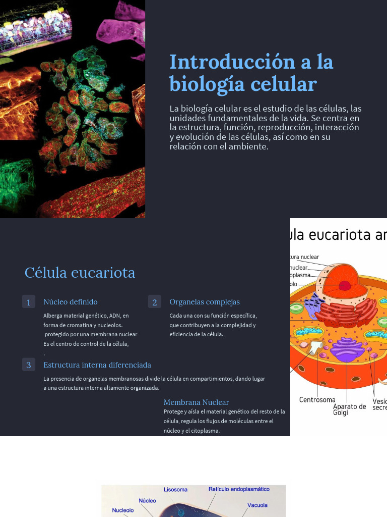 Biología Celular: Estructura y Funciones | PDF | Biología Celular ...