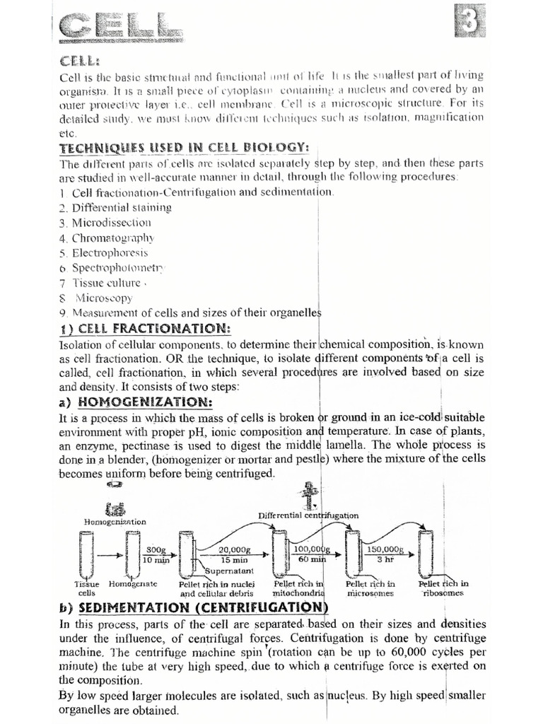 Chapter No 3 Cell Structure and Functions - 12 | PDF
