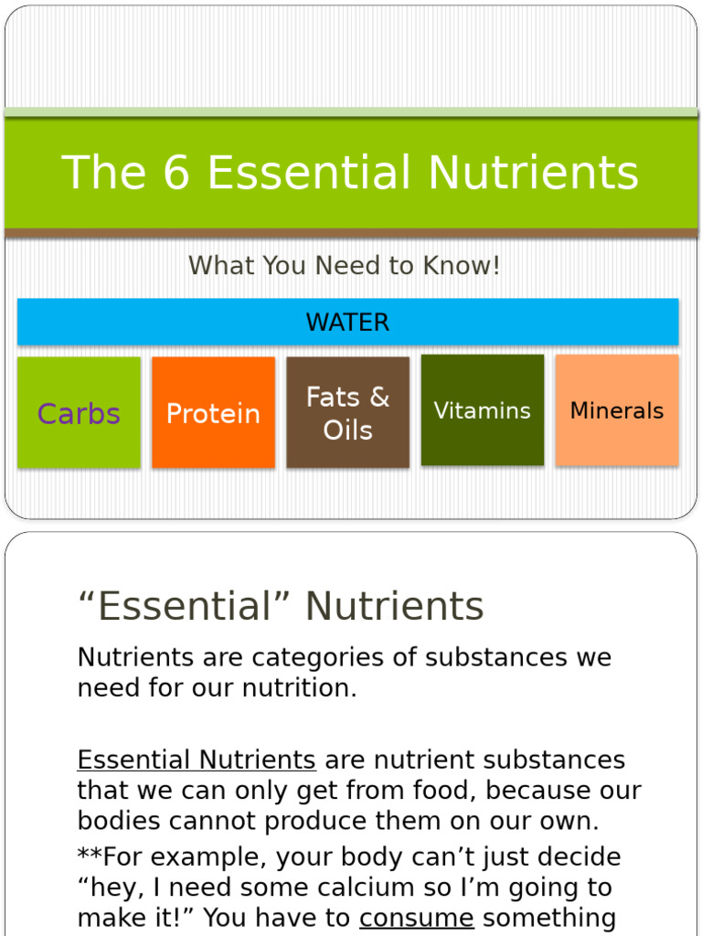 S96179286176351355O2 6EssentialNutrients | PDF | Foods | Nutrients