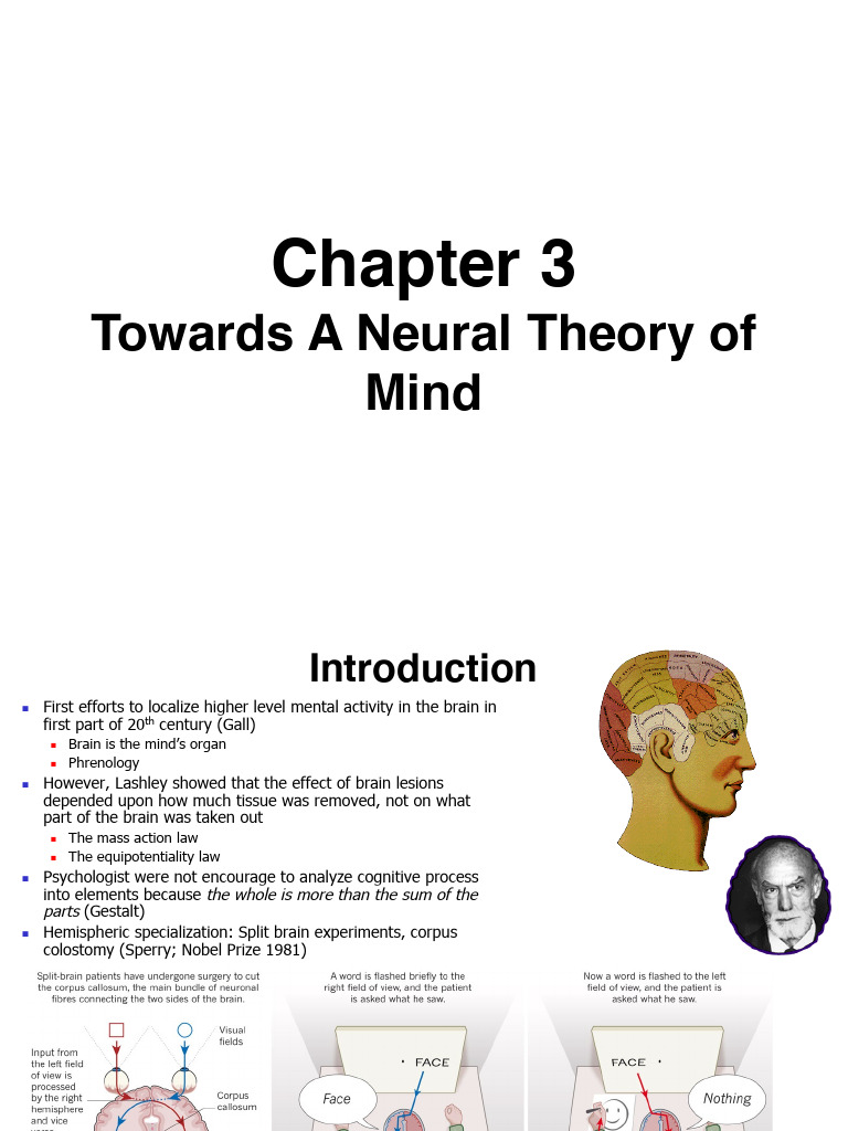 Neural Theory of Mind: Cognitive Functions | PDF | Neuroimaging | Event ...